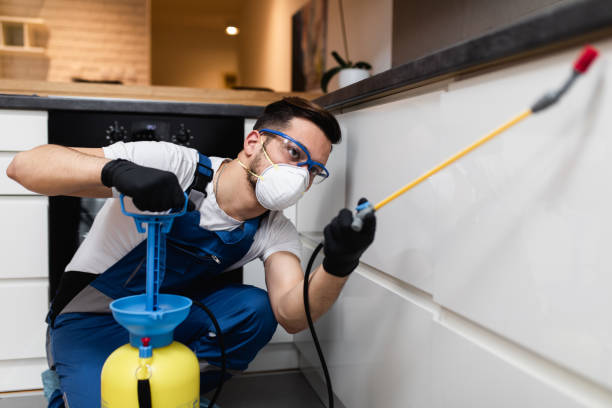 Best Emergency Pest Control  in Limestone, IL