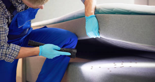 Limestone, IL Pest Control Company